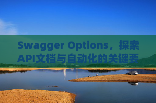 Swagger Options，探索API文档与自动化的关键要素